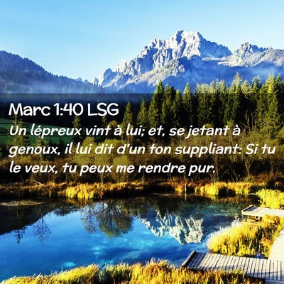 Picture 02 - Marc 1:40 LSG - Un lépreux vint à lui; et, se jetant à genoux, - Bible Verse Picture