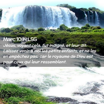 Picture 02 - Marc 10:14 LSG - Jésus, voyant cela, fut indigné, et leur dit: - Bible Verse Picture