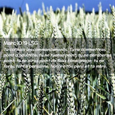 Picture 02 - Marc 10:19 LSG - Tu connais les commandements: Tu ne commettras - Bible Verse Picture