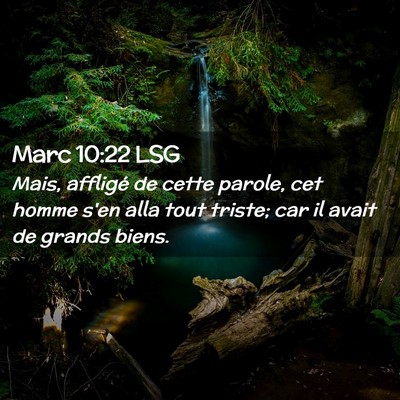 Picture 02 - Marc 10:22 LSG - Mais, affligé de cette parole, cet homme s'en - Bible Verse Picture