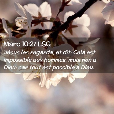 Picture 02 - Marc 10:27 LSG - Jésus les regarda, et dit: Cela est impossible - Bible Verse Picture