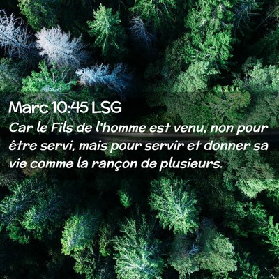 Picture 02 - Marc 10:45 LSG - Car le Fils de l'homme est venu, non pour être - Bible Verse Picture
