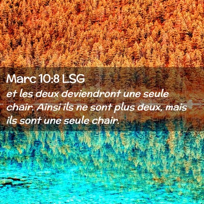 Picture 02 - Marc 10:8 LSG - et les deux deviendront une seule chair. Ainsi - Bible Verse Picture