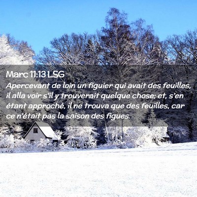 Picture 02 - Marc 11:13 LSG - Apercevant de loin un figuier qui avait des - Bible Verse Picture