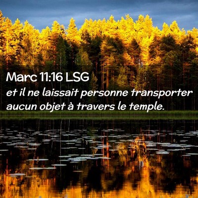 Picture 02 - Marc 11:16 LSG - et il ne laissait personne transporter aucun - Bible Verse Picture