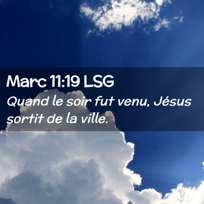 Picture 02 - Marc 11:19 LSG - Quand le soir fut venu, Jésus sortit de la - Bible Verse Picture