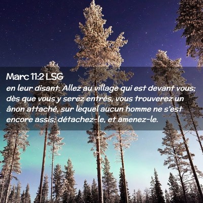 Picture 02 - Marc 11:2 LSG - en leur disant: Allez au village qui est devant - Bible Verse Picture