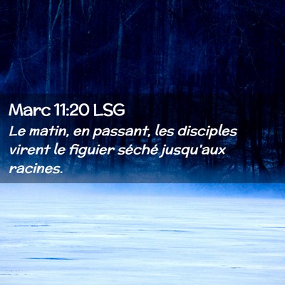 Picture 02 - Marc 11:20 LSG - Le matin, en passant, les disciples virent le - Bible Verse Picture