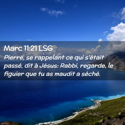 Picture 02 - Marc 11:21 LSG - Pierre, se rappelant ce qui s'était passé, dit - Bible Verse Picture