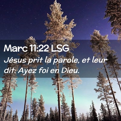 Picture 02 - Marc 11:22 LSG - Jésus prit la parole, et leur dit: Ayez foi en - Bible Verse Picture