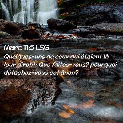 Picture 02 - Marc 11:5 LSG - Quelques-uns de ceux qui étaient là leur - Bible Verse Picture