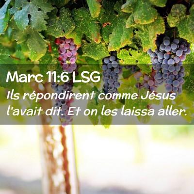 Picture 02 - Marc 11:6 LSG - Ils répondirent comme Jésus l'avait dit. Et on - Bible Verse Picture