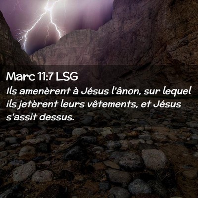 Picture 02 - Marc 11:7 LSG - Ils amenèrent à Jésus l'ânon, sur lequel ils - Bible Verse Picture
