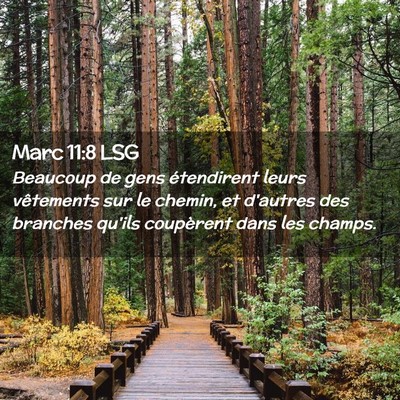 Picture 02 - Marc 11:8 LSG - Beaucoup de gens étendirent leurs vêtements sur - Bible Verse Picture