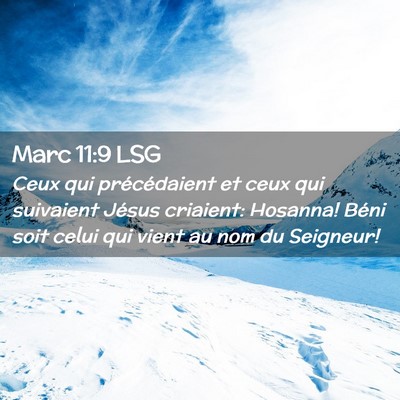 Picture 02 - Marc 11:9 LSG - Ceux qui précédaient et ceux qui suivaient - Bible Verse Picture