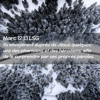 Picture 02 - Marc 12:13 LSG - Ils envoyèrent auprès de Jésus quelques-uns - Bible Verse Picture