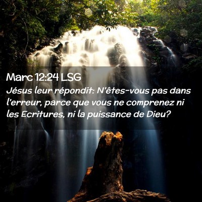 Picture 02 - Marc 12:24 LSG - Jésus leur répondit: N'êtes-vous pas dans - Bible Verse Picture