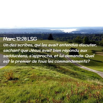 Picture 02 - Marc 12:28 LSG - Un des scribes, qui les avait entendus discuter, - Bible Verse Picture