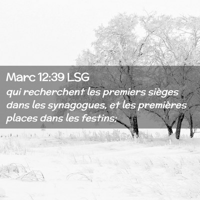 Picture 02 - Marc 12:39 LSG - qui recherchent les premiers sièges dans les - Bible Verse Picture