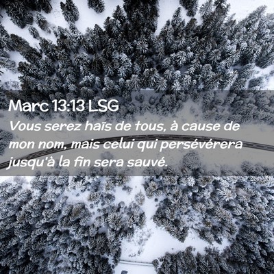 Picture 02 - Marc 13:13 LSG - Vous serez haïs de tous, à cause de mon nom, - Bible Verse Picture
