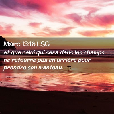 Picture 02 - Marc 13:16 LSG - et que celui qui sera dans les champs ne retourne - Bible Verse Picture