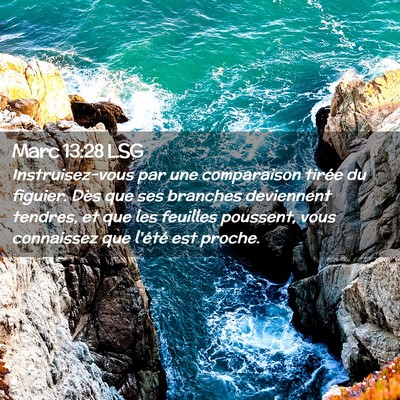 Picture 02 - Marc 13:28 LSG - Instruisez-vous par une comparaison tirée du - Bible Verse Picture
