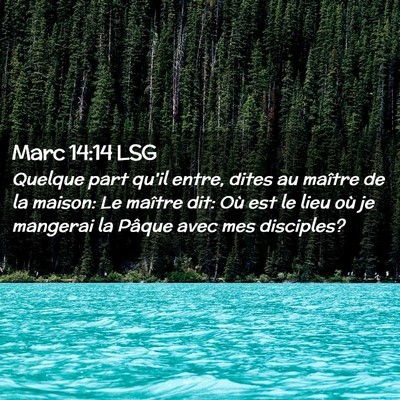 Picture 02 - Marc 14:14 LSG - Quelque part qu'il entre, dites au maître de la - Bible Verse Picture