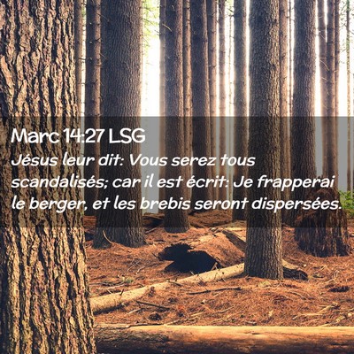 Picture 02 - Marc 14:27 LSG - Jésus leur dit: Vous serez tous scandalisés; - Bible Verse Picture