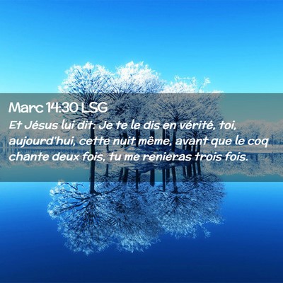 Picture 02 - Marc 14:30 LSG - Et Jésus lui dit: Je te le dis en vérité, toi, - Bible Verse Picture