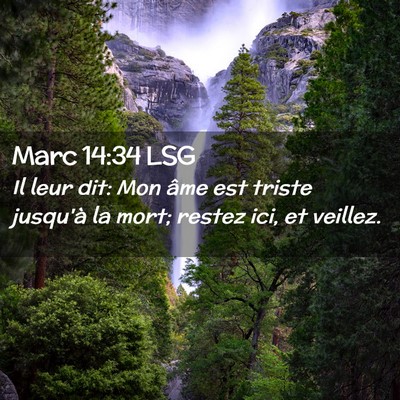 Picture 02 - Marc 14:34 LSG - Il leur dit: Mon âme est triste jusqu'à la - Bible Verse Picture
