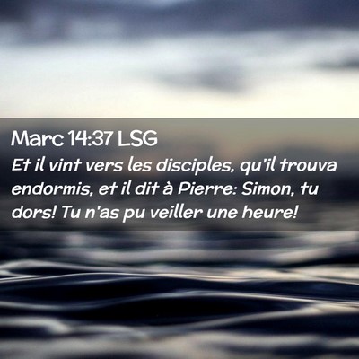 Picture 02 - Marc 14:37 LSG - Et il vint vers les disciples, qu'il trouva - Bible Verse Picture