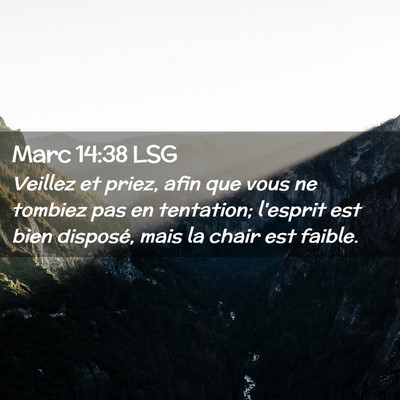 Picture 02 - Marc 14:38 LSG - Veillez et priez, afin que vous ne tombiez pas en - Bible Verse Picture