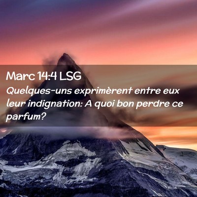 Picture 02 - Marc 14:4 LSG - Quelques-uns exprimèrent entre eux leur - Bible Verse Picture