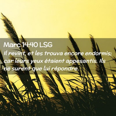 Picture 02 - Marc 14:40 LSG - Il revint, et les trouva encore endormis; car - Bible Verse Picture