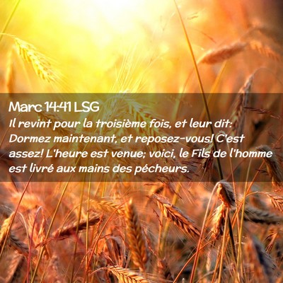 Picture 02 - Marc 14:41 LSG - Il revint pour la troisième fois, et leur dit: - Bible Verse Picture