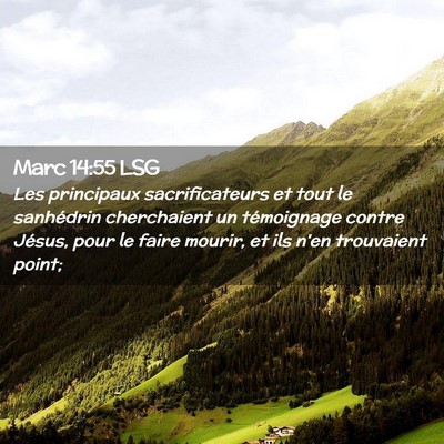 Picture 02 - Marc 14:55 LSG - Les principaux sacrificateurs et tout le - Bible Verse Picture