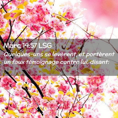 Picture 02 - Marc 14:57 LSG - Quelques-uns se levèrent, et portèrent un faux - Bible Verse Picture