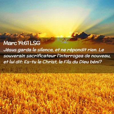 Picture 02 - Marc 14:61 LSG - Jésus garda le silence, et ne répondit rien. Le - Bible Verse Picture