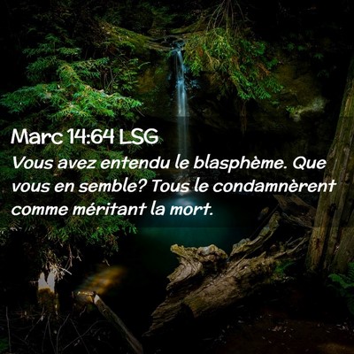 Picture 02 - Marc 14:64 LSG - Vous avez entendu le blasphème. Que vous en - Bible Verse Picture