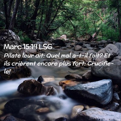 Picture 02 - Marc 15:14 LSG - Pilate leur dit: Quel mal a-t-il fait? Et ils - Bible Verse Picture
