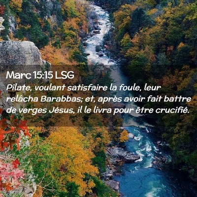 Picture 02 - Marc 15:15 LSG - Pilate, voulant satisfaire la foule, leur - Bible Verse Picture