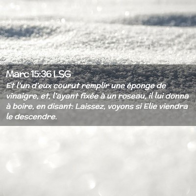 Picture 02 - Marc 15:36 LSG - Et l'un d'eux courut remplir une éponge de - Bible Verse Picture
