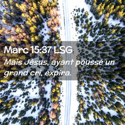 Picture 02 - Marc 15:37 LSG - Mais Jésus, ayant poussé un grand cri, - Bible Verse Picture