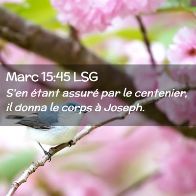 Picture 02 - Marc 15:45 LSG - S'en étant assuré par le centenier, il donna le - Bible Verse Picture