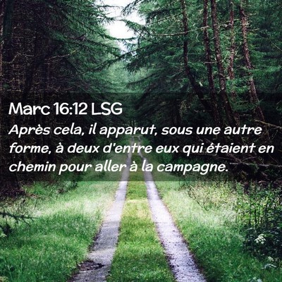 Picture 02 - Marc 16:12 LSG - Après cela, il apparut, sous une autre forme, à - Bible Verse Picture