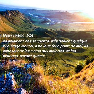 Picture 02 - Marc 16:18 LSG - ils saisiront des serpents; s'ils boivent quelque - Bible Verse Picture