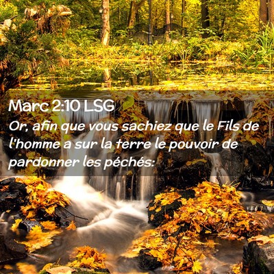 Picture 02 - Marc 2:10 LSG - Or, afin que vous sachiez que le Fils de l'homme - Bible Verse Picture