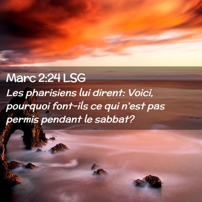 Picture 02 - Marc 2:24 LSG - Les pharisiens lui dirent: Voici, pourquoi - Bible Verse Picture