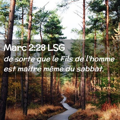 Picture 02 - Marc 2:28 LSG - de sorte que le Fils de l'homme est maître même - Bible Verse Picture
