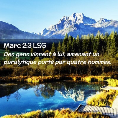 Picture 02 - Marc 2:3 LSG - Des gens vinrent à lui, amenant un paralytique - Bible Verse Picture